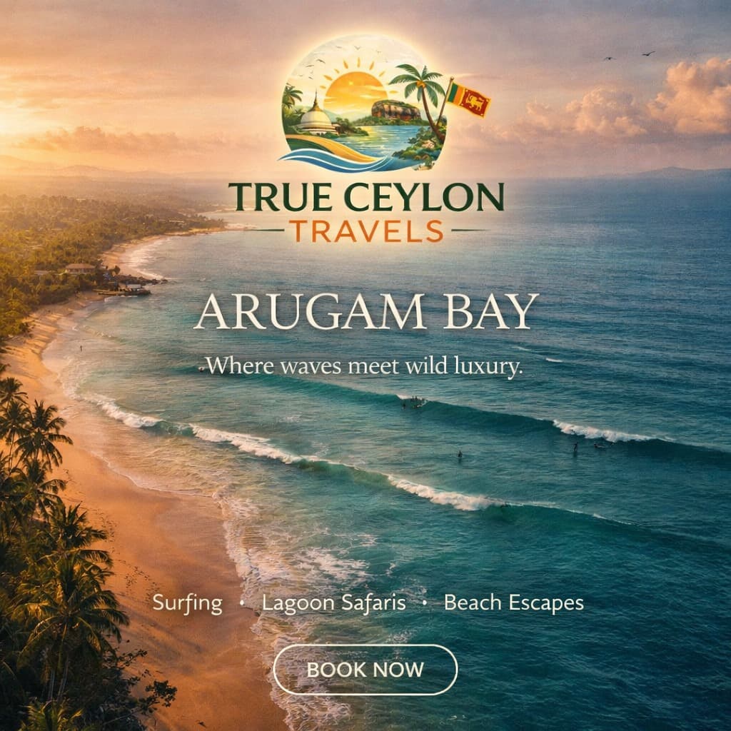 Arugam Bay