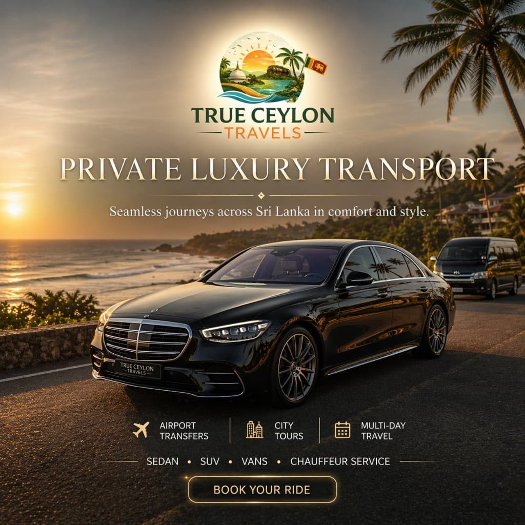 Private Luxury Transport