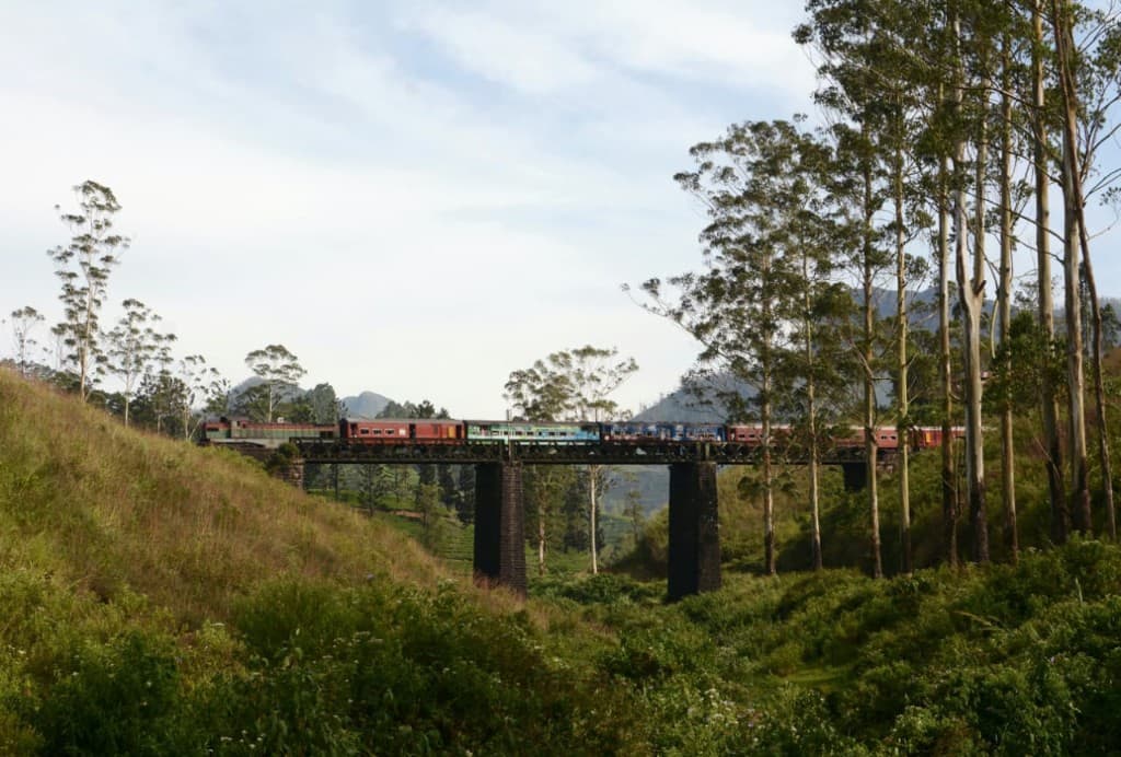 Custom Tours in Sri Lanka