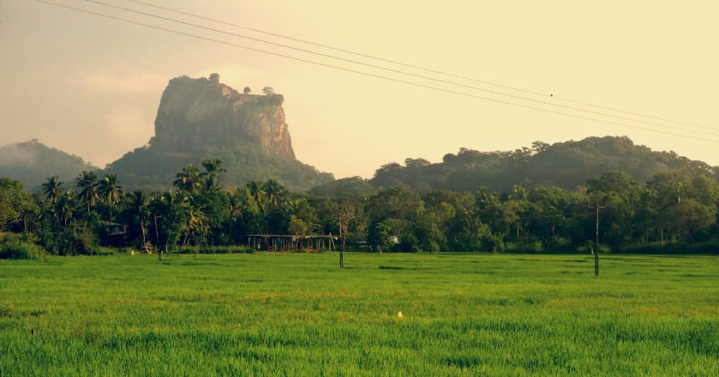 Sigiriya Rock Fortress rising above paddy fields at golden hour