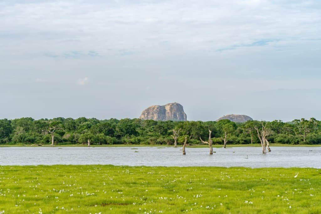 Sinharaja Day Tour in Sri Lanka